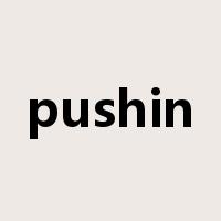 pushin是什么意思