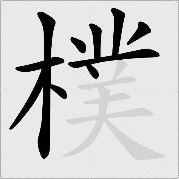 樸
