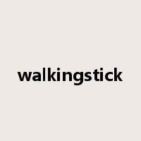 walkingstick是什么意思