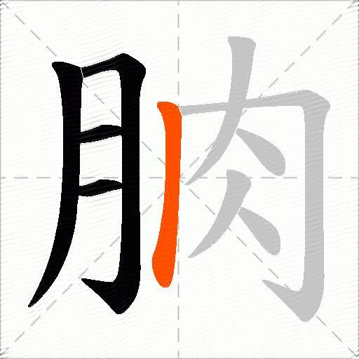 朒