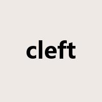 cleft是什么意思