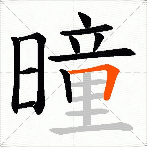 曈