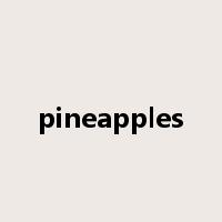 pineapples是什么意思
