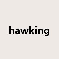 hawking是什么意思