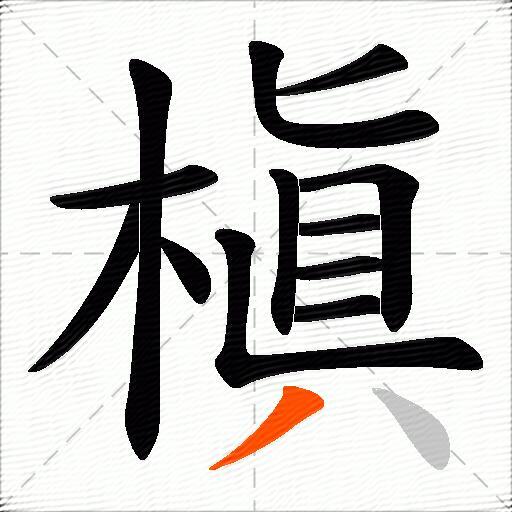 槇
