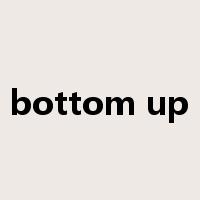 bottom up是什么意思