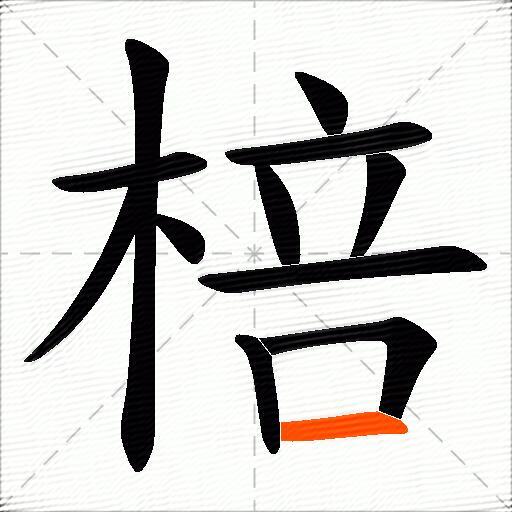 棓