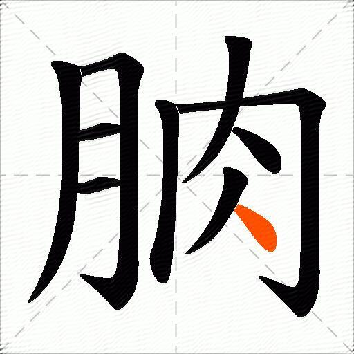 朒