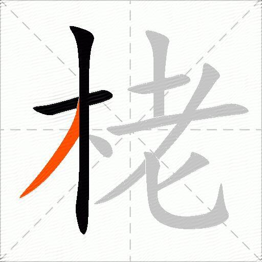 栳