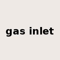 gas inlet是什么意思