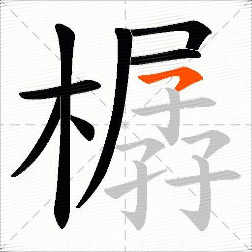 樼