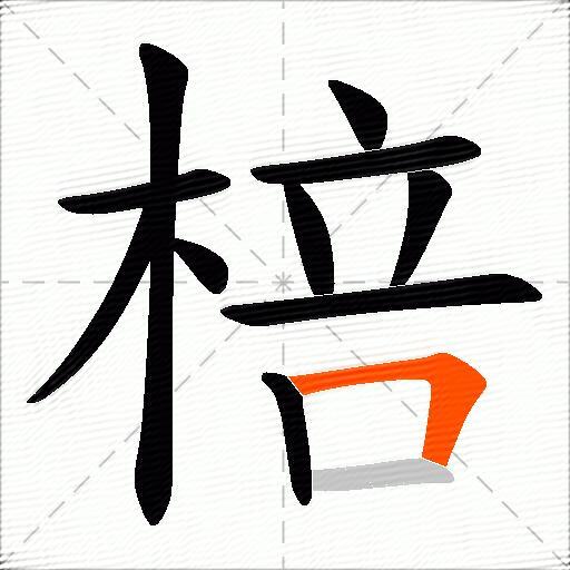 棓
