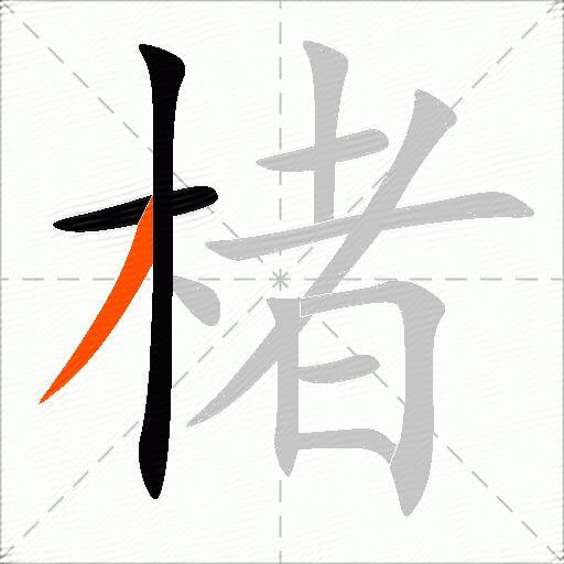 楮