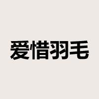 爱惜羽毛是什么意思