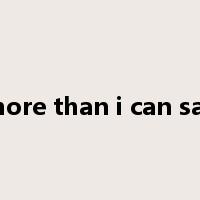 more than i can say是什么意思