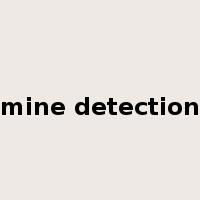 mine detection是什么意思