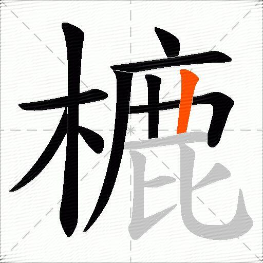 樚