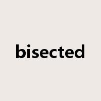 bisected是什么意思