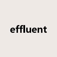 effluent是什么意思