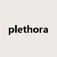 plethora是什么意思