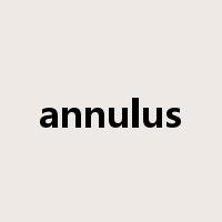 annulus是什么意思