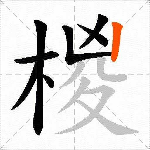 椶