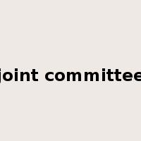 joint committee是什么意思