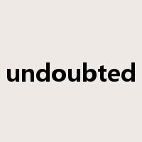 undoubted是什么意思