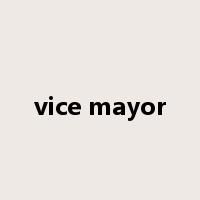 vice mayor是什么意思