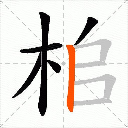 桘