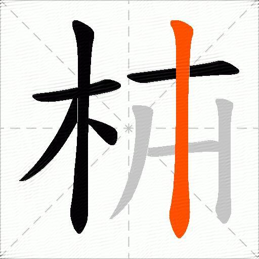 枾
