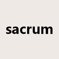 sacrum是什么意思