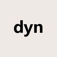dyn是什么意思