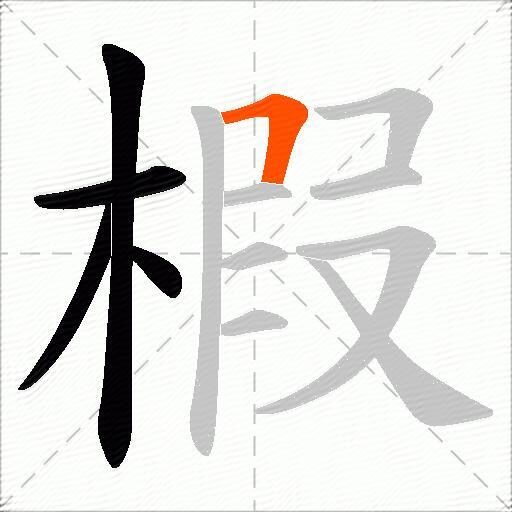 椵