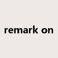 remark on是什么意思