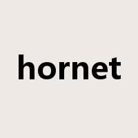 hornet是什么意思
