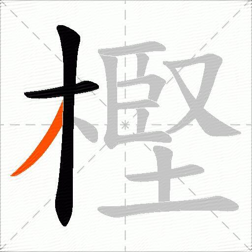 樫