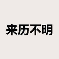 来历不明是什么意思