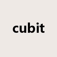 cubit是什么意思