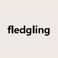 fledgling是什么意思