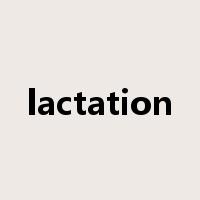 lactation是什么意思