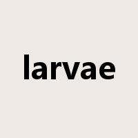 larvae是什么意思