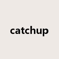 catchup是什么意思