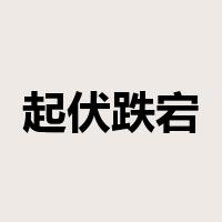 起伏跌宕是什么意思