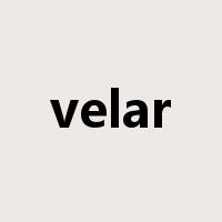 velar是什么意思