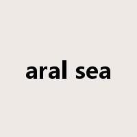 aral sea是什么意思