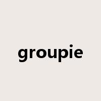 groupie是什么意思