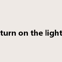 turn on the light是什么意思