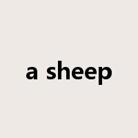 a sheep是什么意思