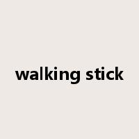 walking stick是什么意思